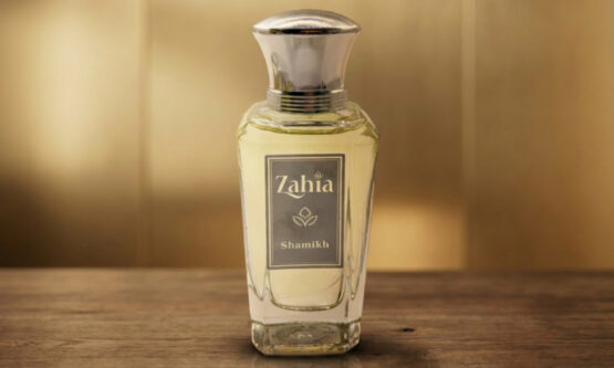 blog-01-7-4-555x333 المقالات والأخبار